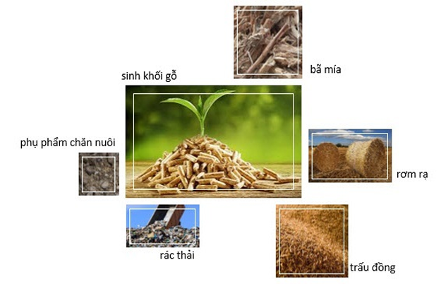 Năng lượng sinh khối và tiềm năng chưa được khai phá Năng lượng sinh khối và tiềm năng chưa được khai phá